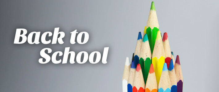 A tree of colored pencils. Back to School. 