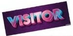 Visitor in bold text.