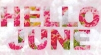 Hello June.